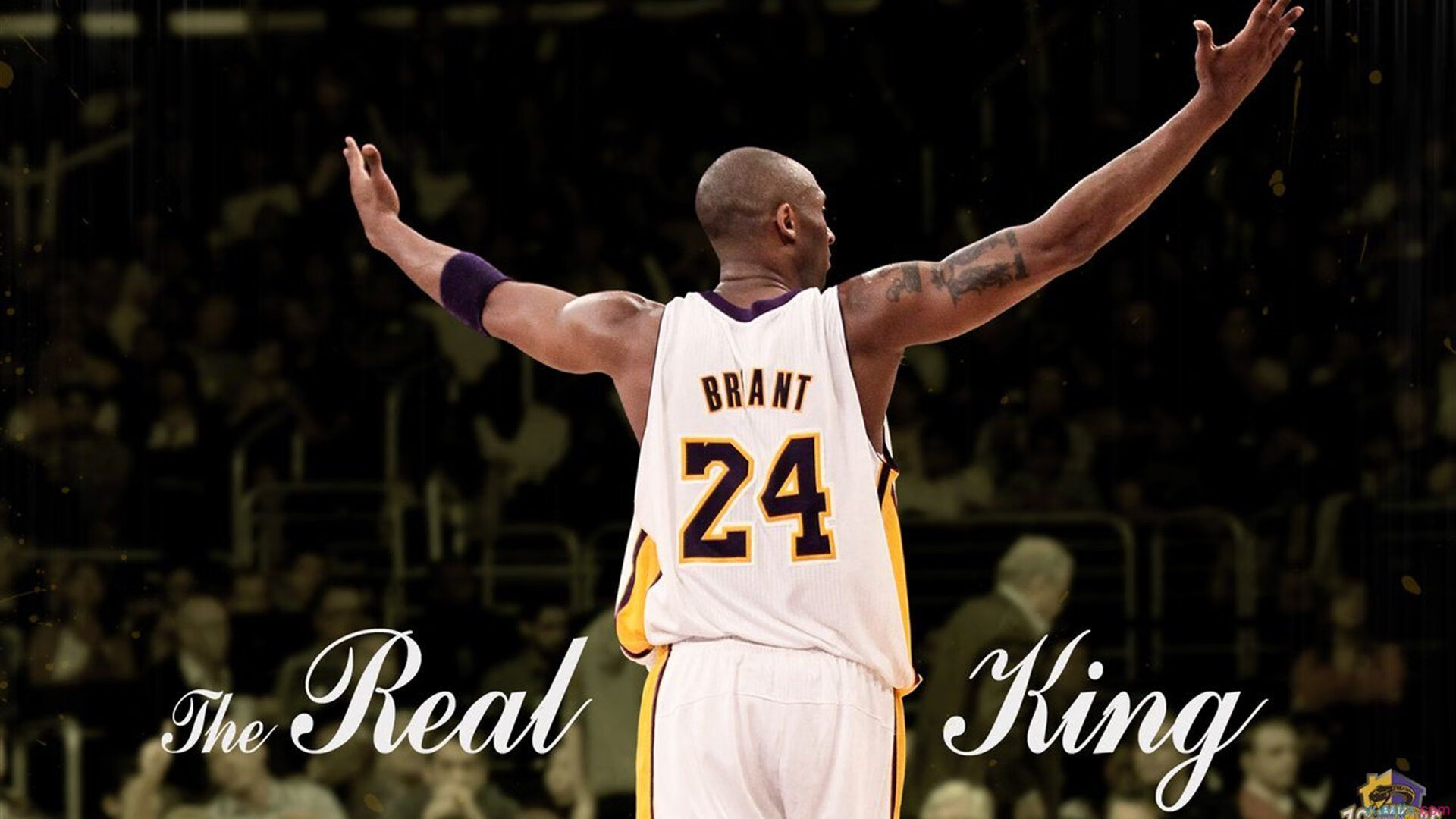 CBA赛场上青春与梦想齐飞,cba赛场上青春与梦想齐飞是哪一集